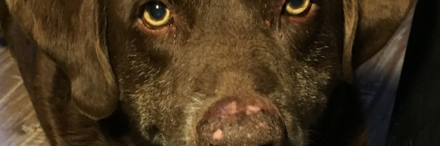 norcarl's profile banner image