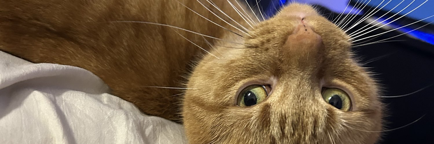 picanteshay's profile banner image