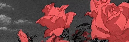 DroStar3's profile banner image