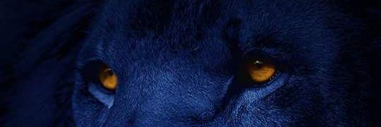 Richarditextex's profile banner image