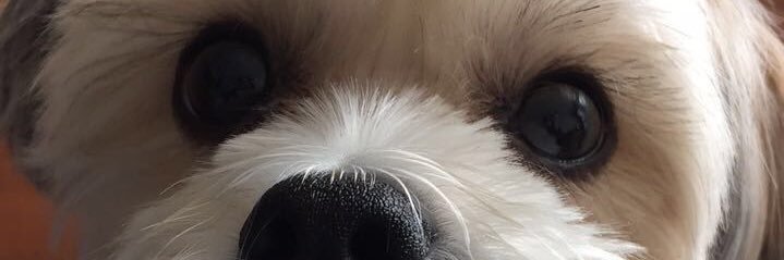 mackkelly's profile banner image