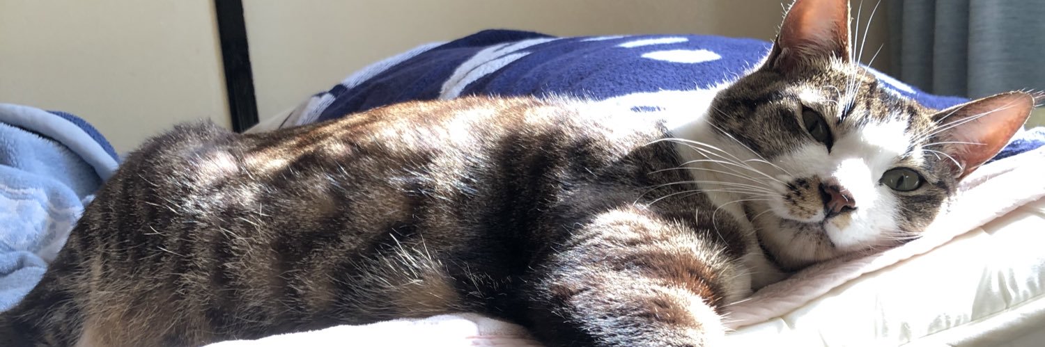 onydepp's profile banner image