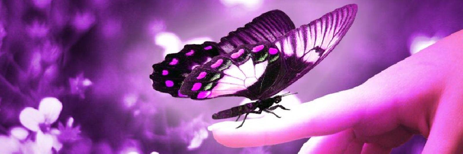 haholic's profile banner image