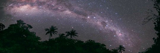 nickbear11's profile banner image