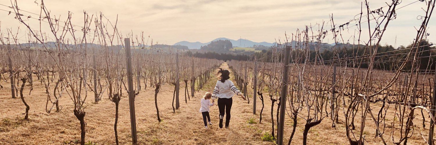 Mauricio Zapparoli, MD MSc banner