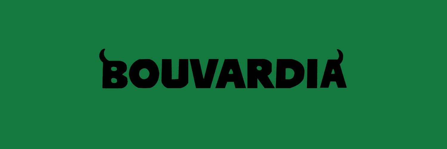 Bouvardia banner