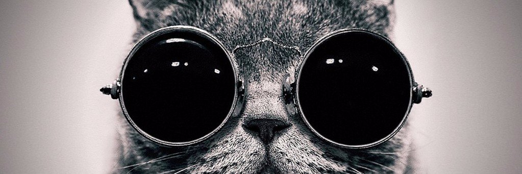 seftaaliN's profile banner image