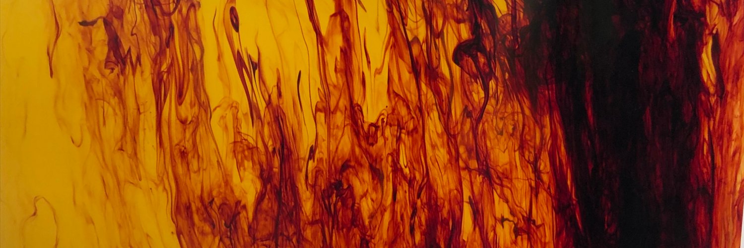 feliceecker's profile banner image