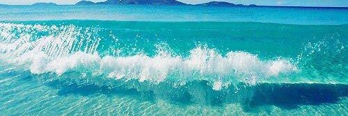 Mari-Lynn 🌴🦋 banner