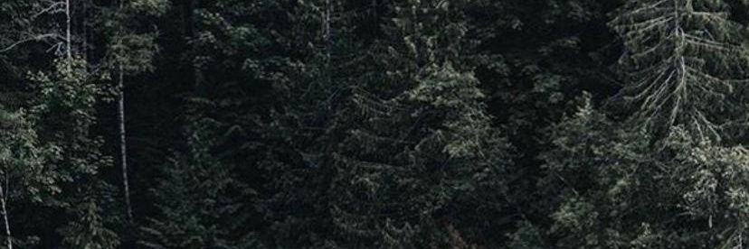 جميل بن جويبر السواط banner