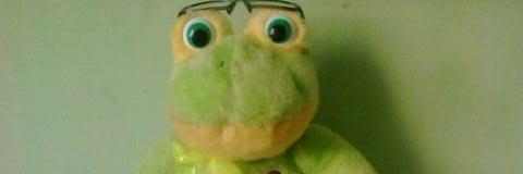 zahrainza's profile banner image