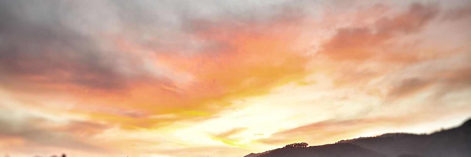 Carlos Buezo banner