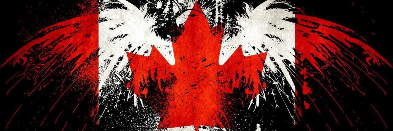 strangerdivine's profile banner image