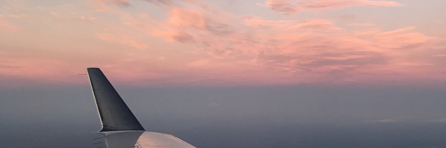 BellaBeemer16's profile banner image