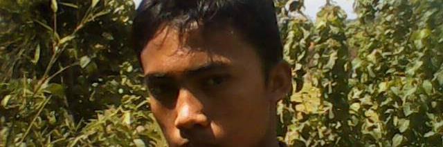 arya_anin's profile banner image