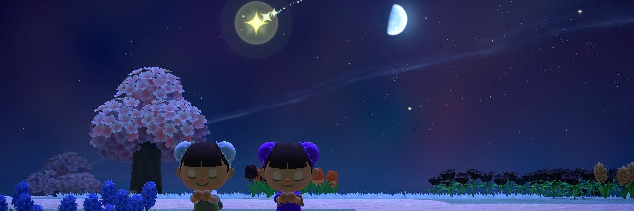 lisafromwalaya's profile banner image