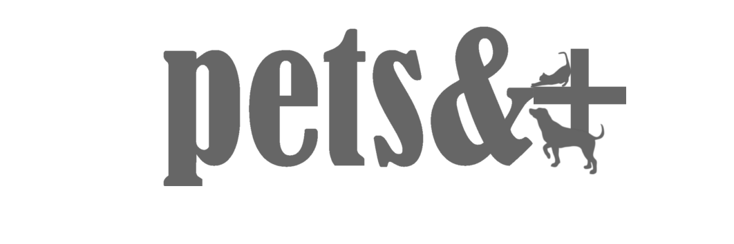 Perrete_Pets's profile banner image