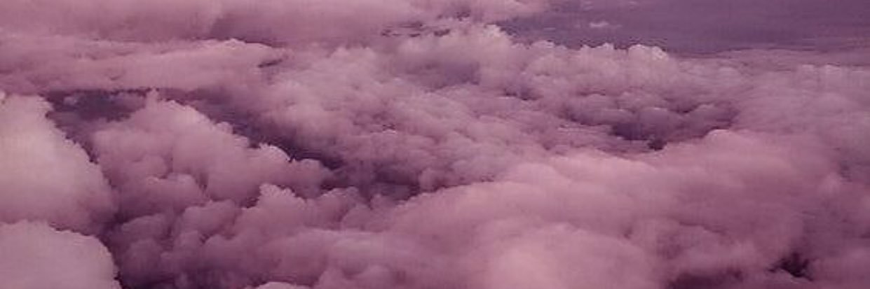 NikiMajor's profile banner image