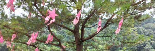 CaunteRose Profile Banner