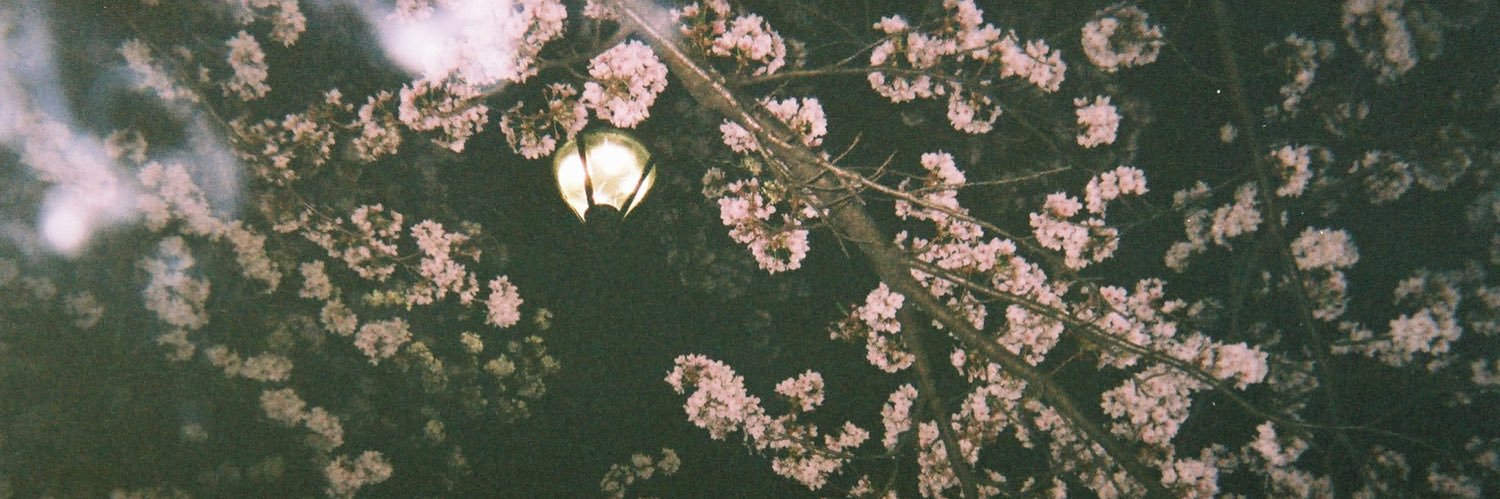 infinitysw1's profile banner image