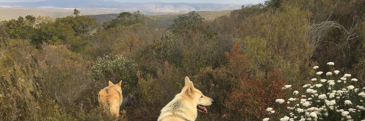 LornaLeeson's profile banner image