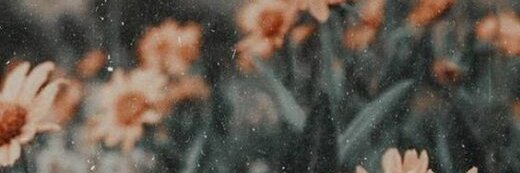 gmnkmooe's profile banner image
