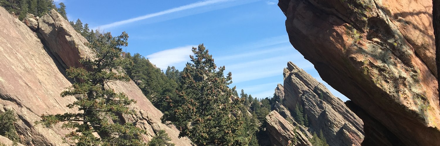 FancyaTickles's profile banner image