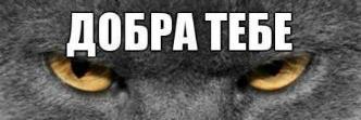 aleona007's profile banner image