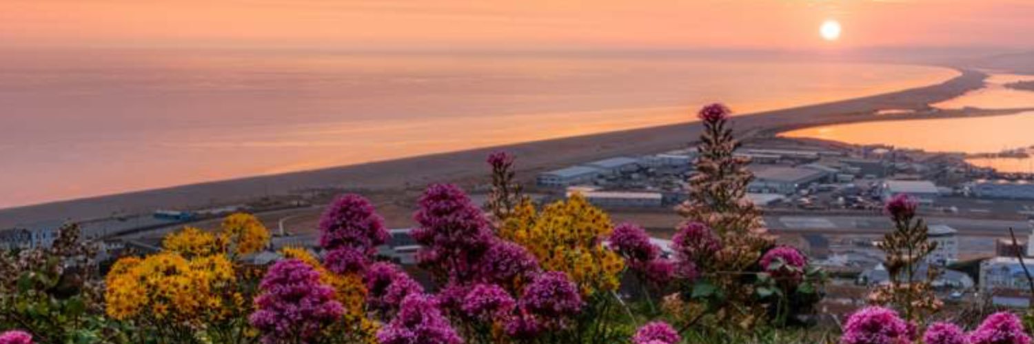 Trea Murphy 🌷 banner