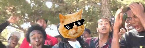 Chuscogatuno's profile banner image