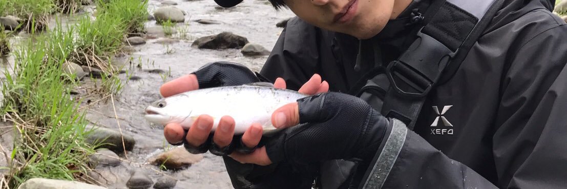 OVER_CIDER's profile banner image