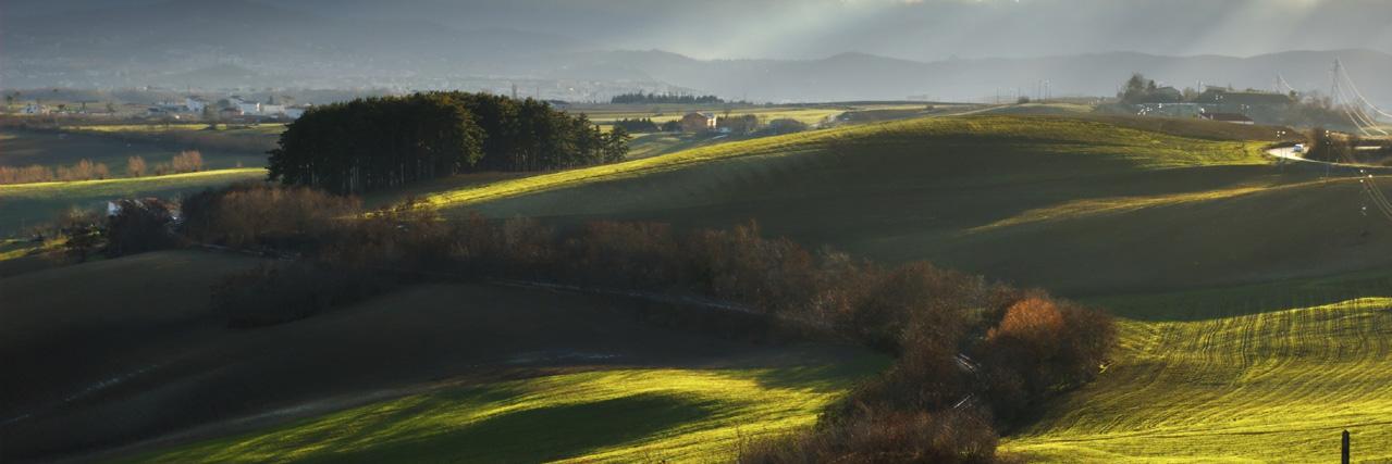 vivilMolise's profile banner image