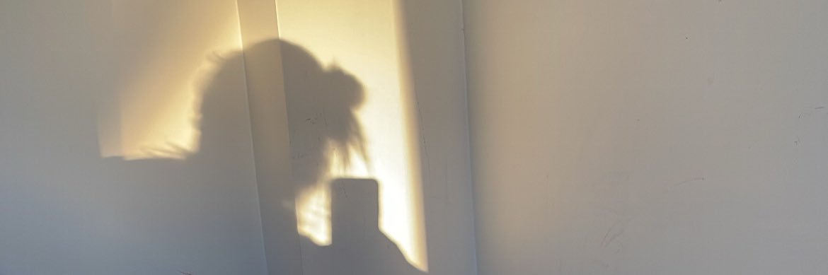 frtsdn's profile banner image