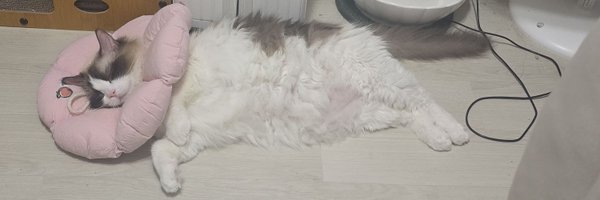 cos_capella Profile Banner