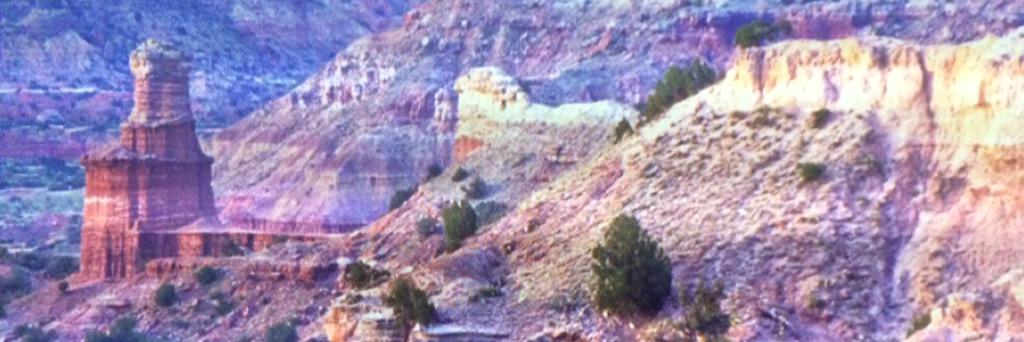 Renner PACE 7 banner