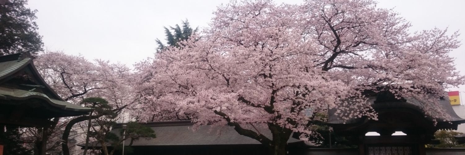 mutapt's profile banner image