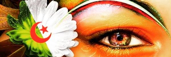MiraInesse's profile banner image