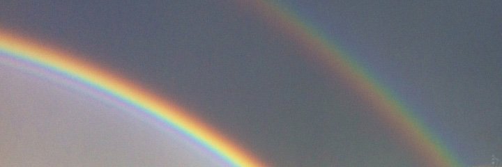 William Vallée banner