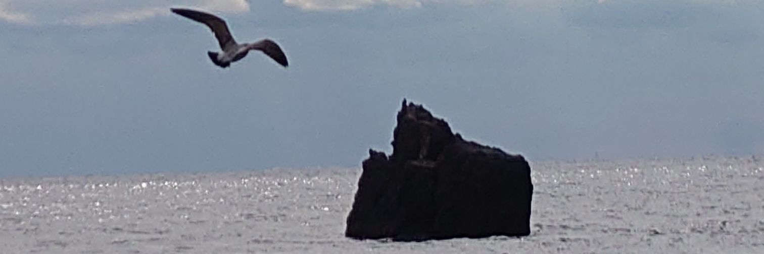 bigone6070's profile banner image