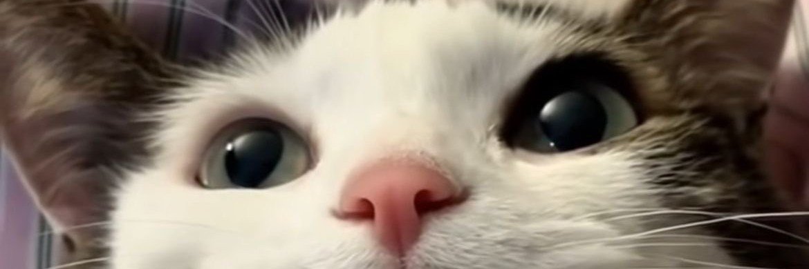 _pam9's profile banner image
