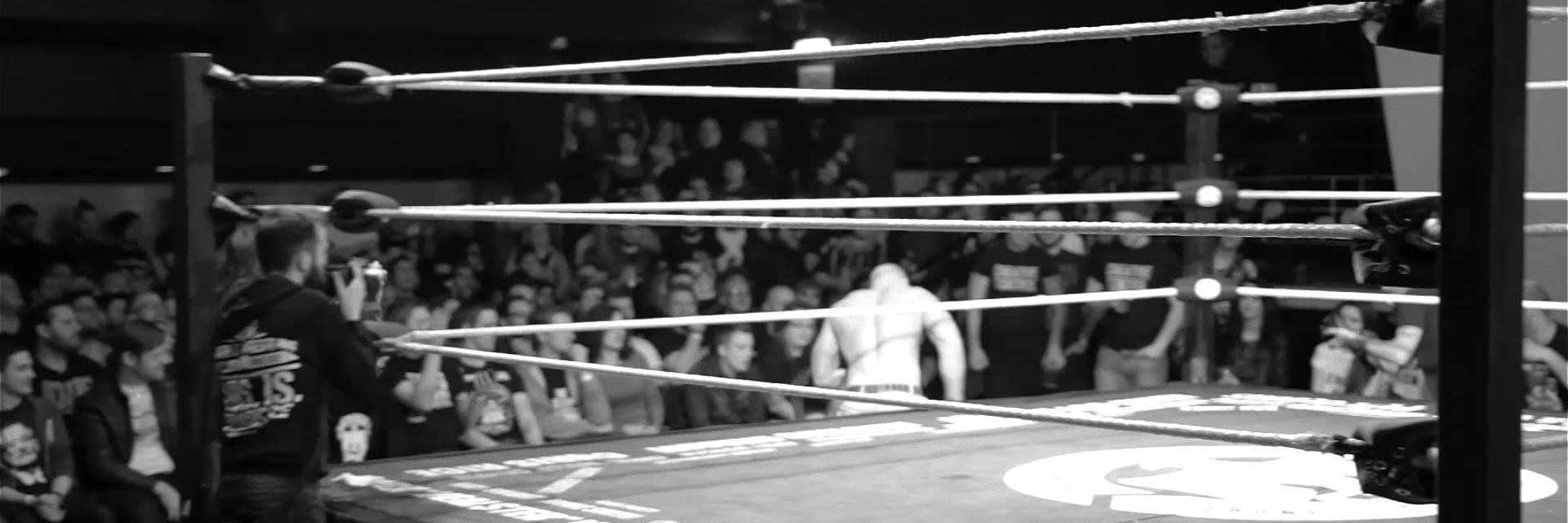 NewKingdomPRO's profile banner image