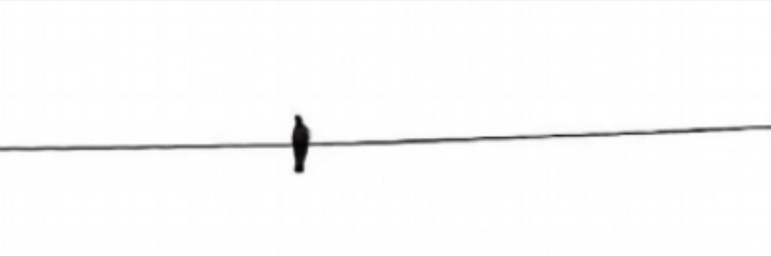 AlisanNevin's profile banner image