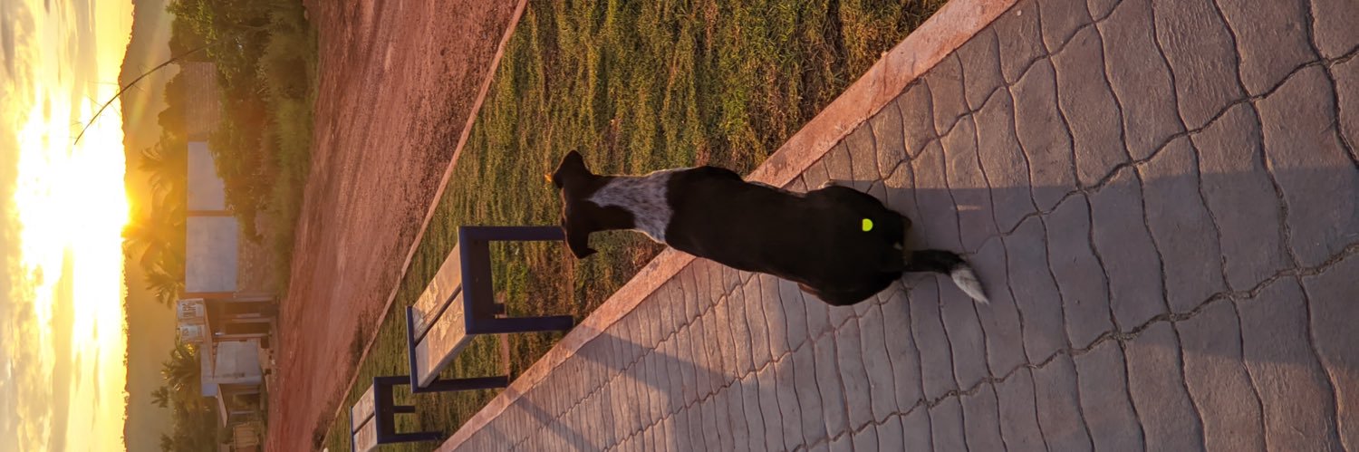 RaimundoNetto9's profile banner image