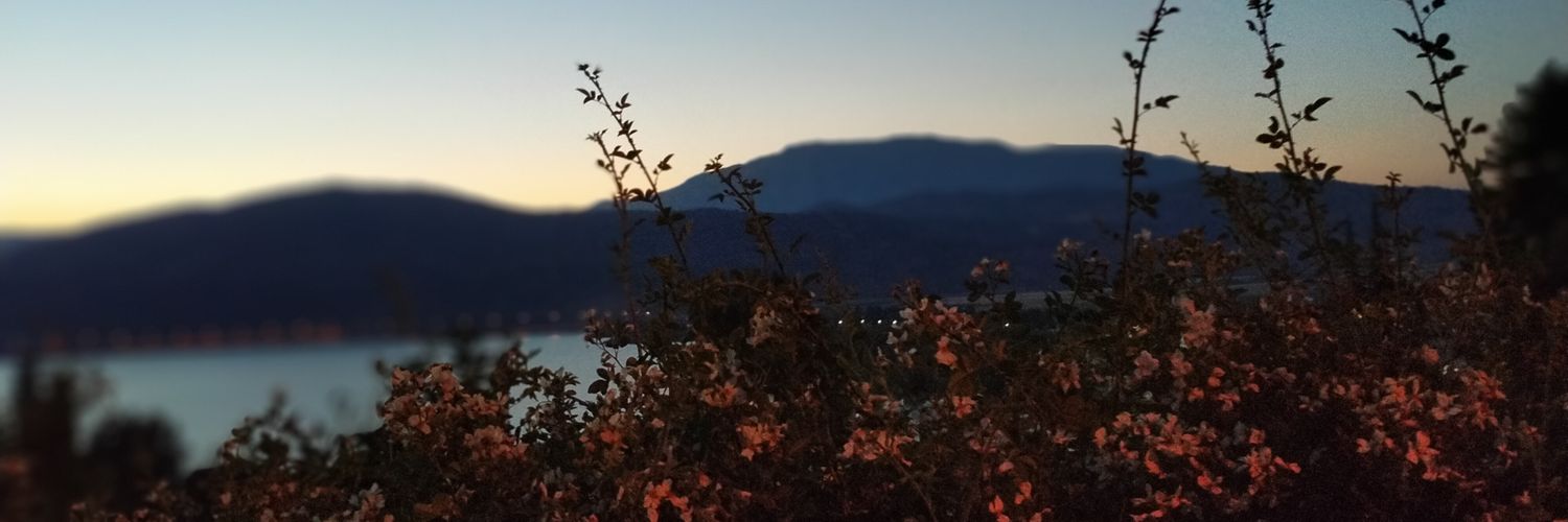 kargac_k's profile banner image
