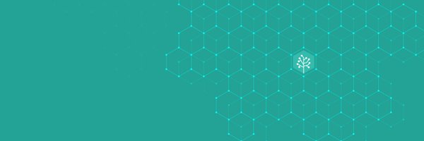 remarquesystems Profile Banner