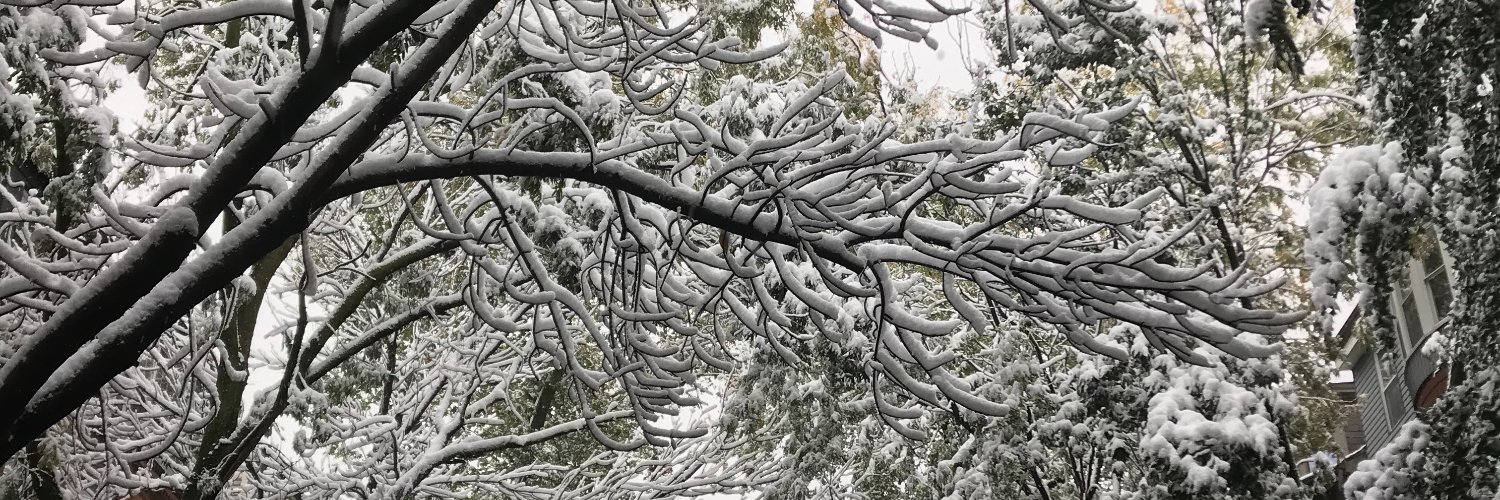 PEHSU: New England banner