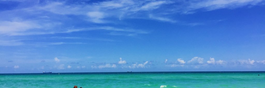 msashikak's profile banner image