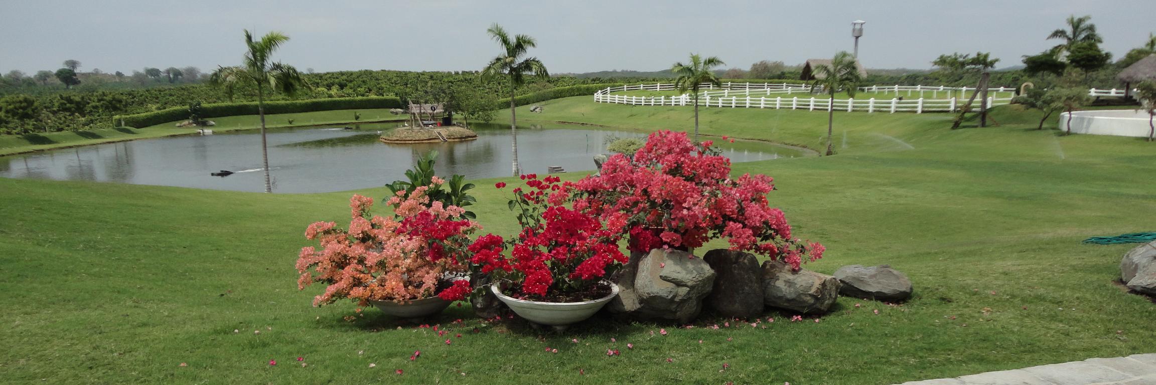 PRG_GARDEN's profile banner image