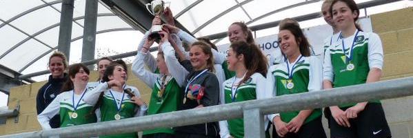 Millais PE banner