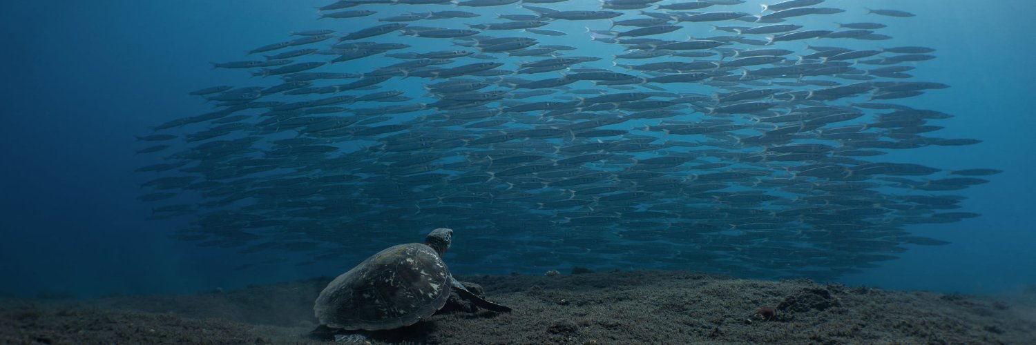 freediver974's profile banner image